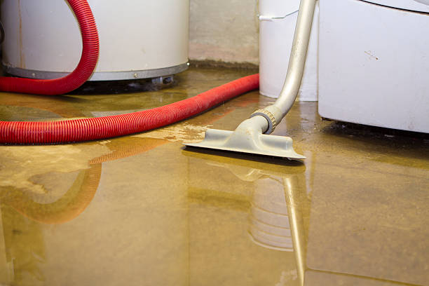 Best Carpet water damage restoration  in Garrett, WA