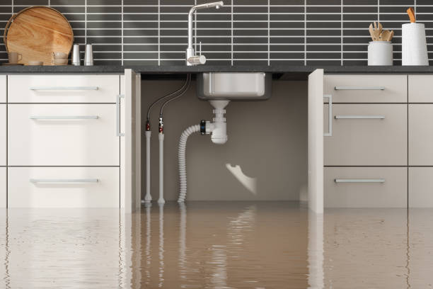 Best Mold removal after water damage  in Garrett, WA